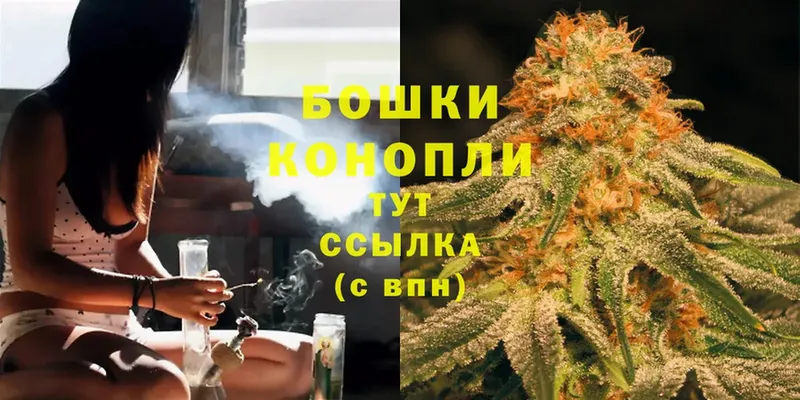 Канабис OG Kush  Бузулук 